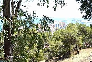 016- Malaga vue du Gibralfaro